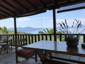 Olive Grove House